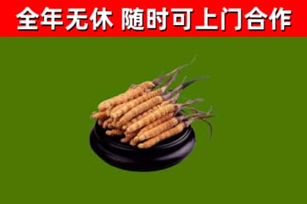 西盟县烟酒回收冬虫夏草.jpg